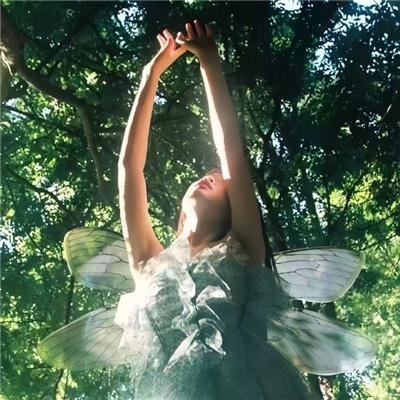 武极天尊2之神界篇